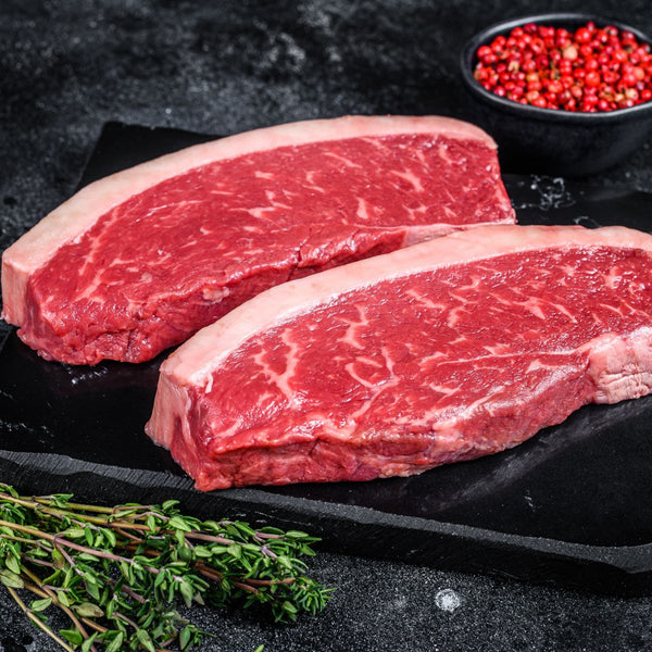 סינטה בלאק אנגוס מ"ס 11