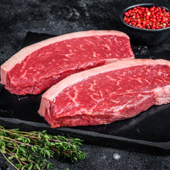 סינטה בלאק אנגוס מ"ס 11